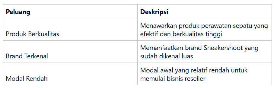 Peluang Pasar untuk Produk Pembersih Sepatu