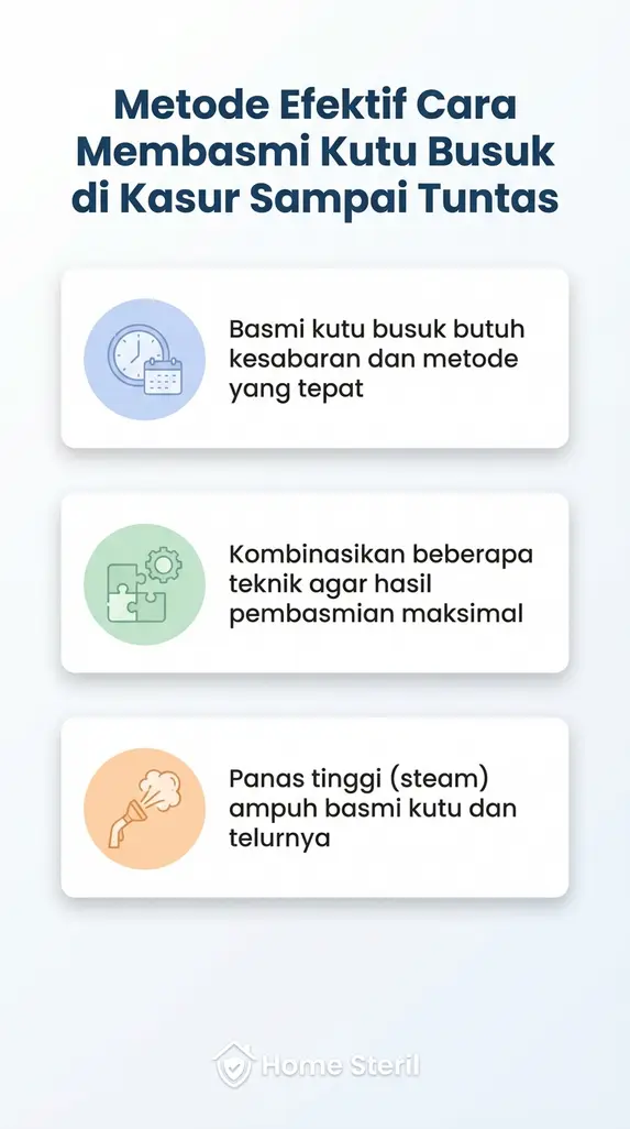 Metode Efektif Cara Membasmi Kutu Busuk di Kasur Sampai Tuntas