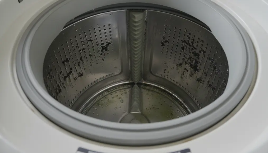Mengapa Mengabaikan Masalah Mesin Cuci Top Loading Itu Berbahaya?