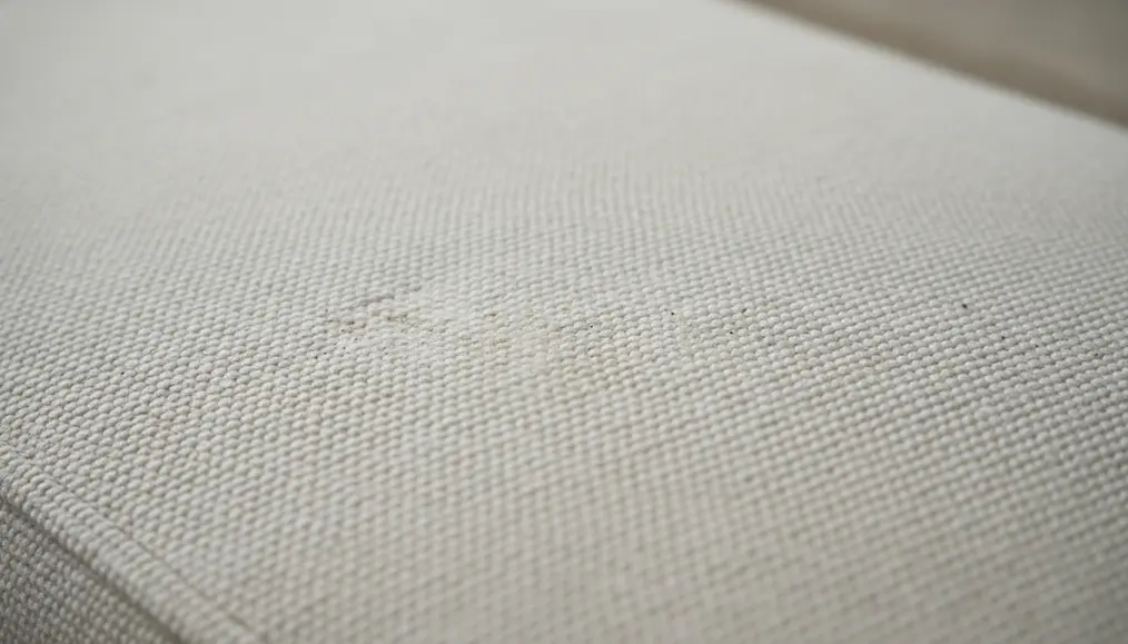 Mengapa Tumpahan Susu di Sofa Begitu Berisiko? Lebih dari Sekadar Noda!