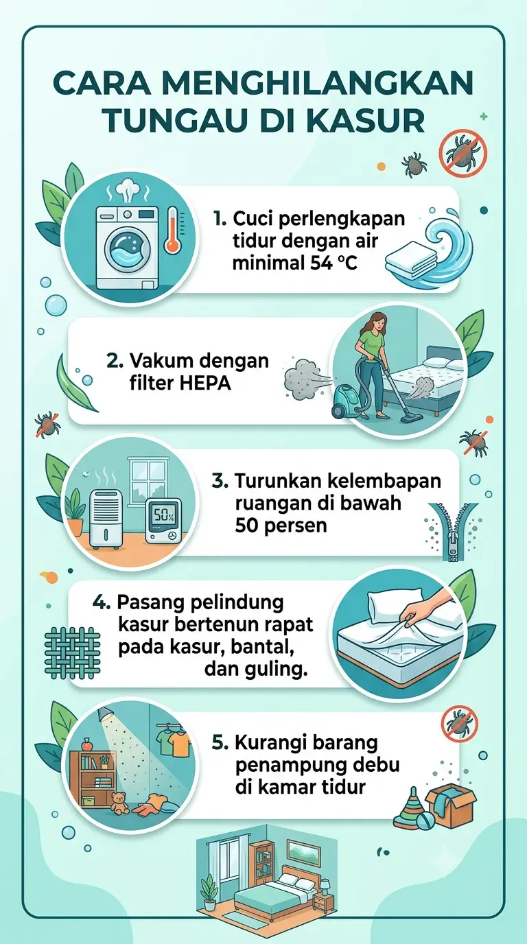Infografik : Cara Menghilangkan Tungau di Kasur
