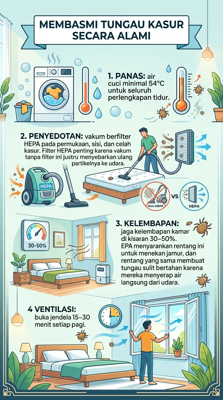 Infografik : Cara membasmi tungau kasur secara alami