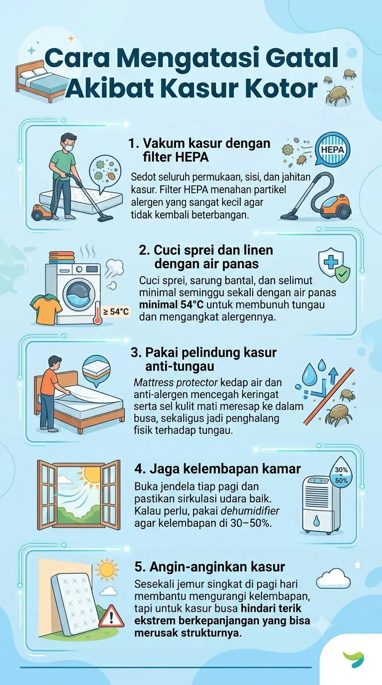 Infografik : Cara Mengatasi Gatal Akibat Kasur Kotor