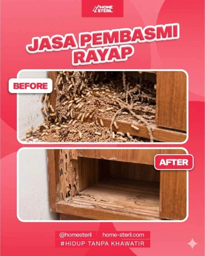 Before&After pembasmi rayap homesteril.com