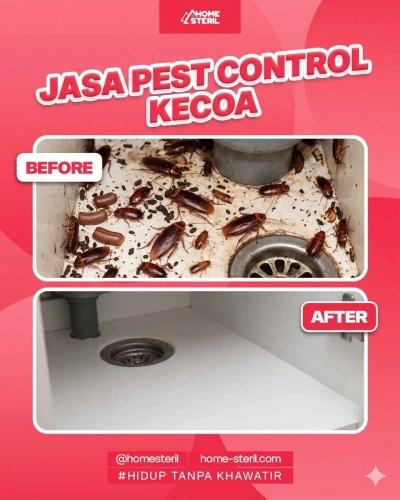 before_after_jasa_pest_control_kecoa homesteril.com