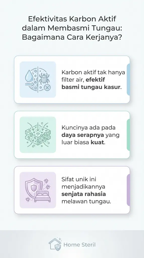 Efektivitas Karbon Aktif dalam Membasmi Tungau: Bagaimana Cara Kerjanya?