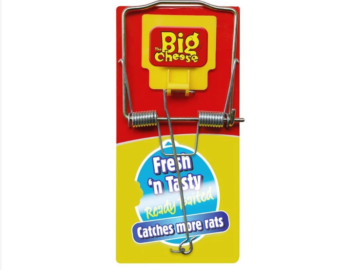  The Big Cheese (Snap Trap Modern) - home-steril.com