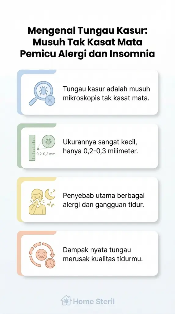 Mengenal Tungau Kasur: Musuh Tak Kasat Mata Pemicu Alergi dan Insomnia