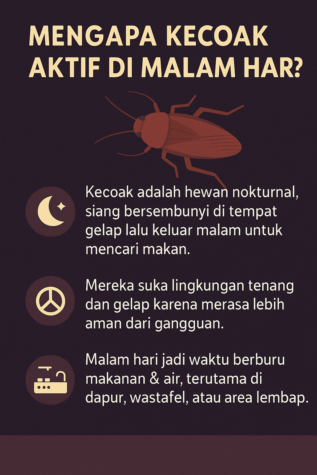 Mengapa Kecoak Suka Datang di Malam Hari?
