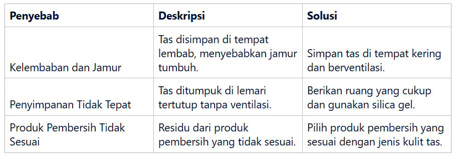Usia dan Kondisi Tas
