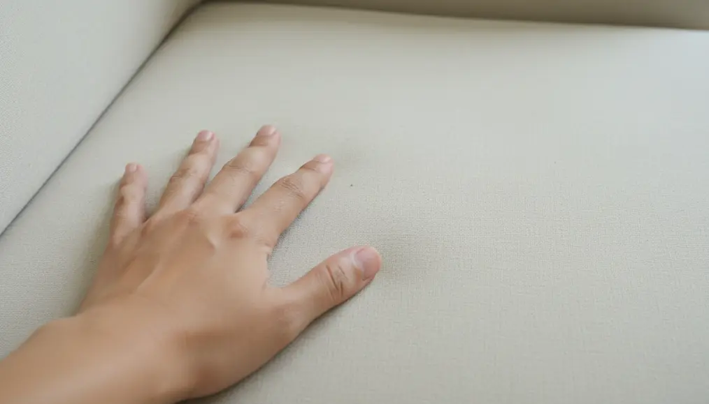 Identifikasi Tanda-tanda Sofa Menjadi Sarang Bakteri dan Debu