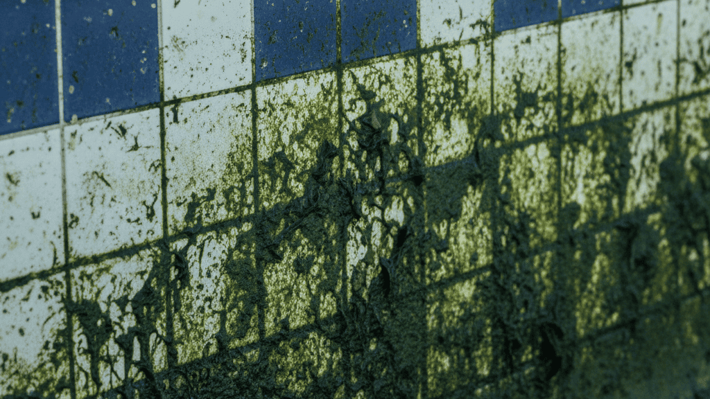 Pentingnya Perawatan Kolam Renang Berkala untuk Mencegah Noda Membandel