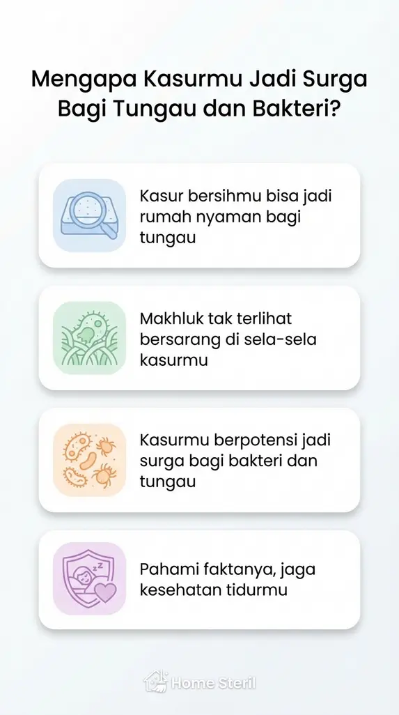 Mengapa Kasurmu Jadi Surga Bagi Tungau dan Bakteri?