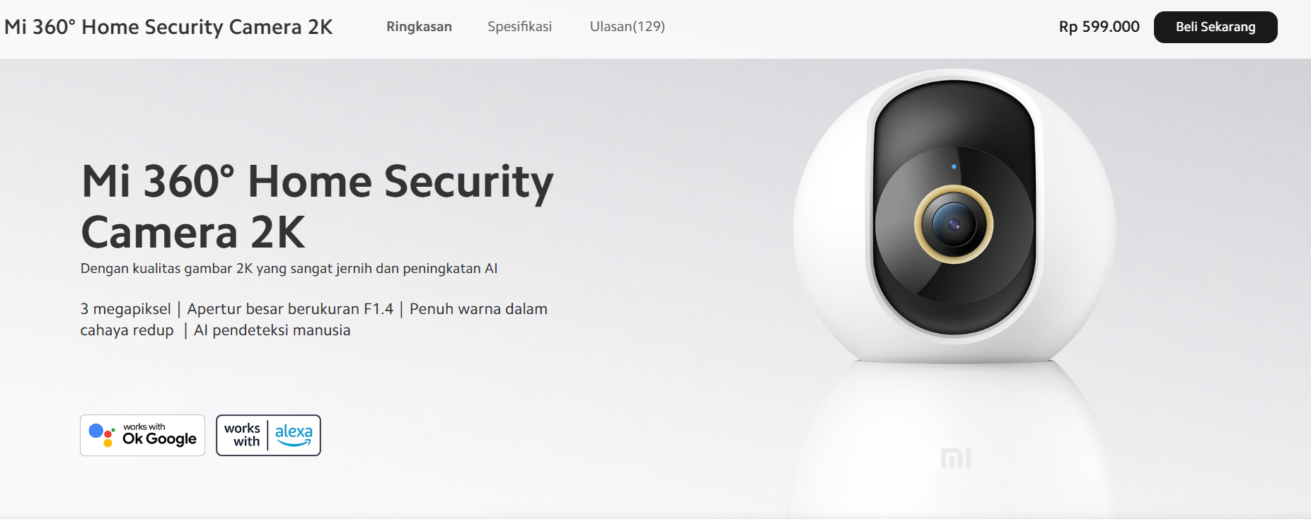 Xiaomi Mi Home Security