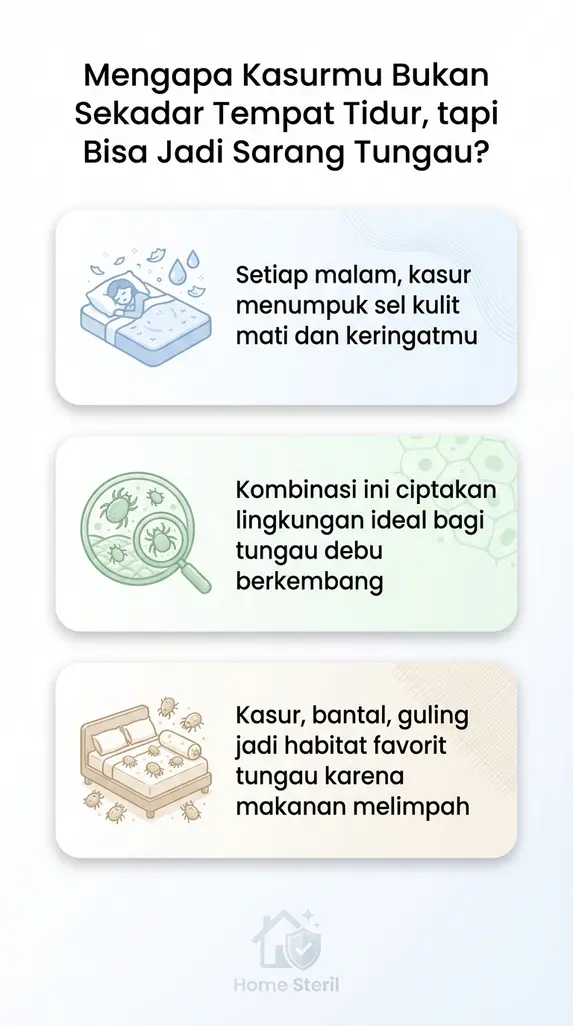 Mengapa Kasurmu Bukan Sekadar Tempat Tidur, tapi Bisa Jadi Sarang Tungau?