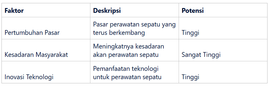 Potensi Pasar Bisnis Perawatan Sepatu di Indonesia