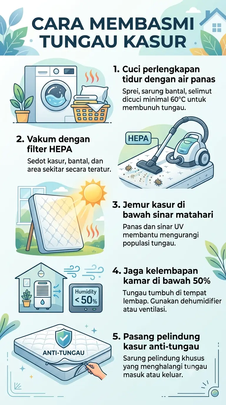 Infografik : Cara membasmi tungau kasur