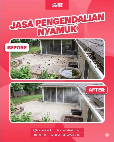 before_after_jasa_pest_control_nyamuk homesteril.com