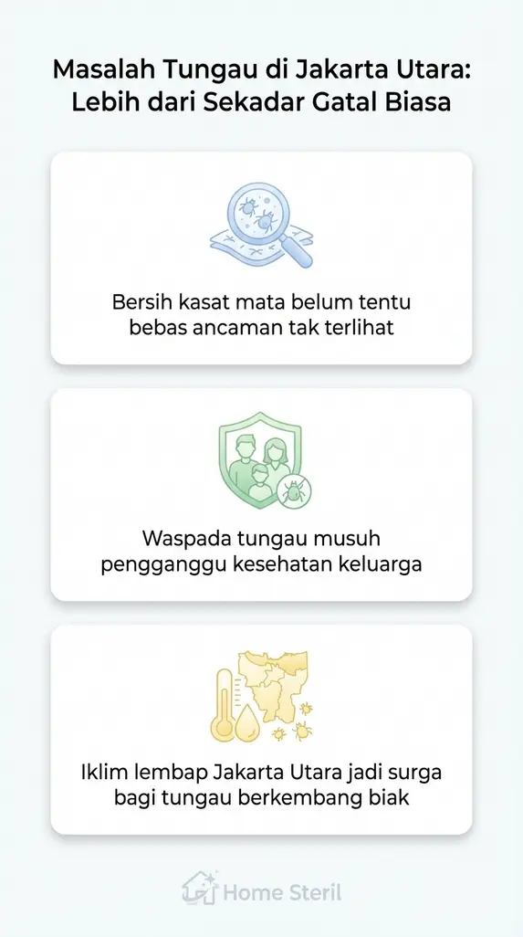 Masalah Tungau di Jakarta Utara: Lebih dari Sekadar Gatal Biasa