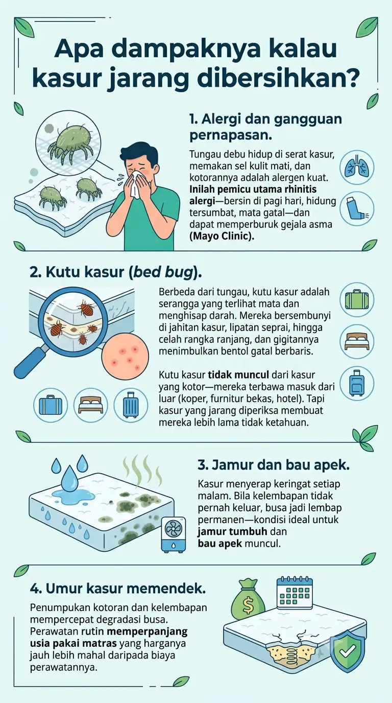 Infografik : Apa dampaknya kalau kasur jarang dibersihkan?