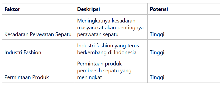 Potensi Pasar Pembersih Sepatu di Indonesia