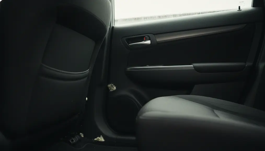 Waspadai Tanda-tanda Kabin Mobil Lembap & Berjamur di Bogor