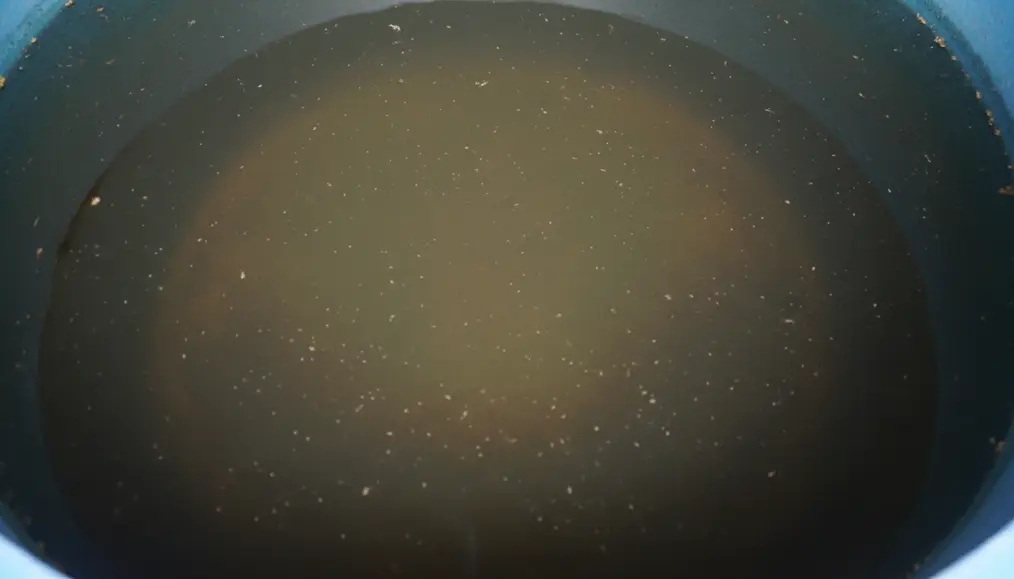 Ancaman Tersembunyi: Bahaya Kesehatan dari Tandon Air Kotor