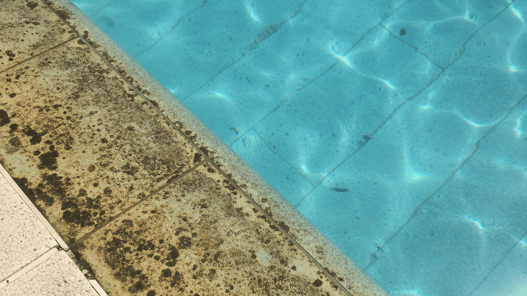 Mengapa Kolam Renangmu Sering Terkena Noda Membandel?