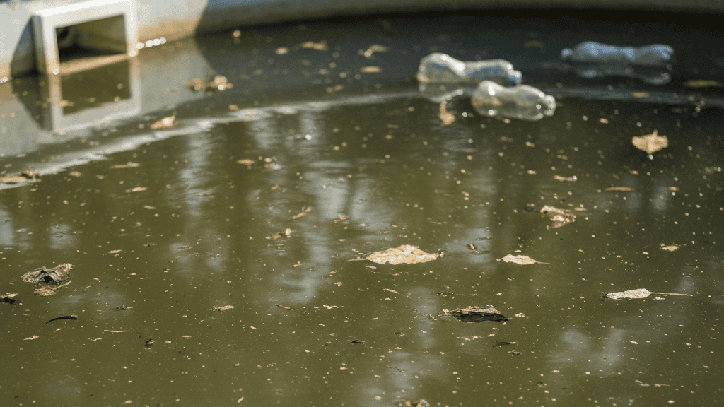 Membersihkan Permukaan Kolam: Angkat Sampah Setiap Hari!