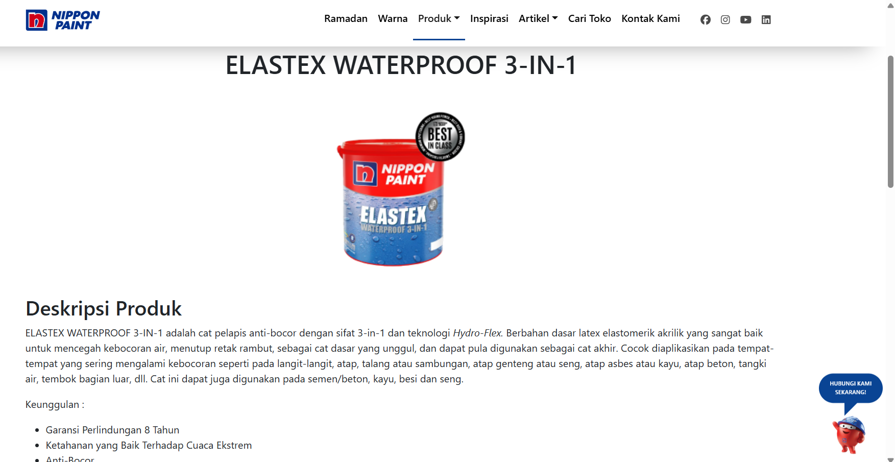 Nippon Paint Elastex