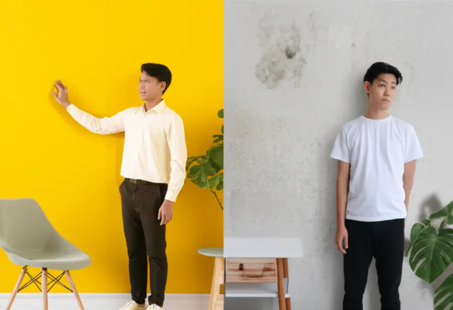 Cara Memilih Cat Rumah Berkualitas untuk Hasil Maksimal