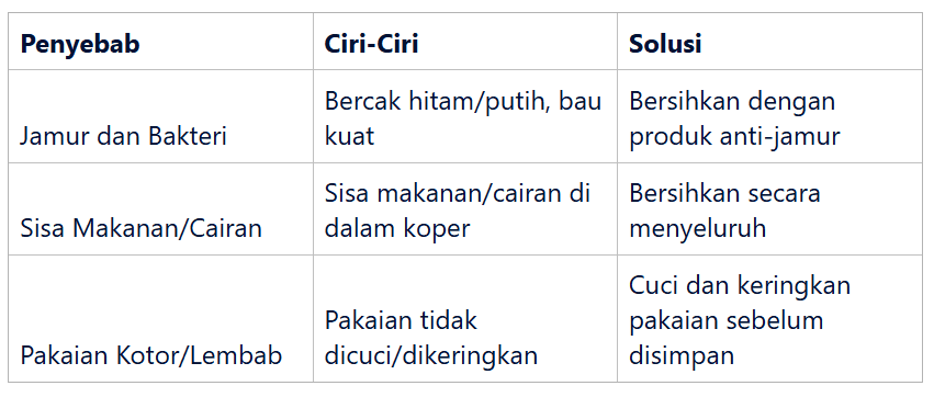 Penyebab Umum Koper Bau dan Cara Mengidentifikasinya