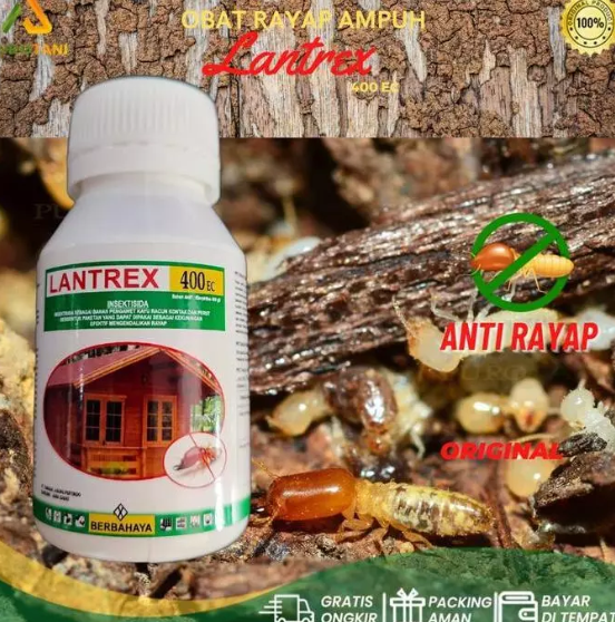Lantrex 400 EC termitisida preventif penguasan kayu olahan - home-steril.com