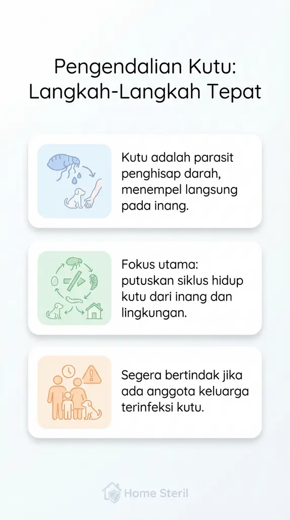 Pengendalian Kutu: Langkah-Langkah Tepat