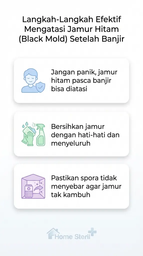 Langkah-Langkah Efektif Mengatasi Jamur Hitam (Black Mold) Setelah Banjir