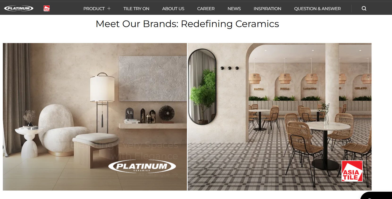 Platinum Ceramics