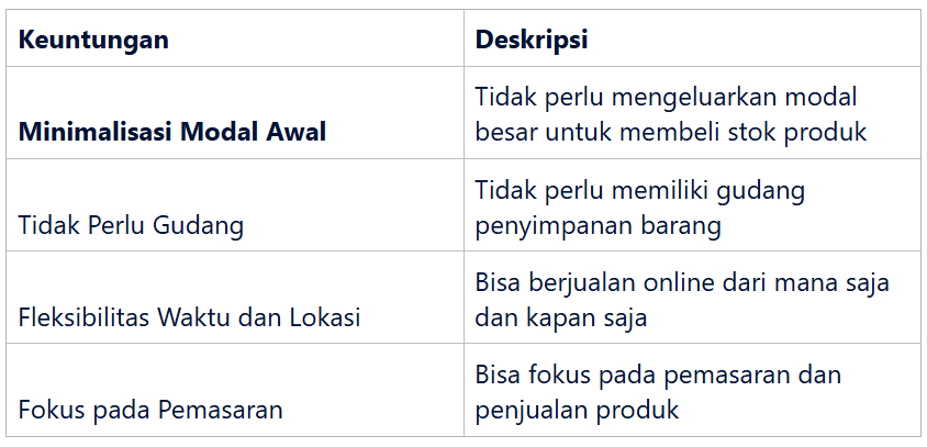 Keuntungan Jualan Tanpa Stok Produk