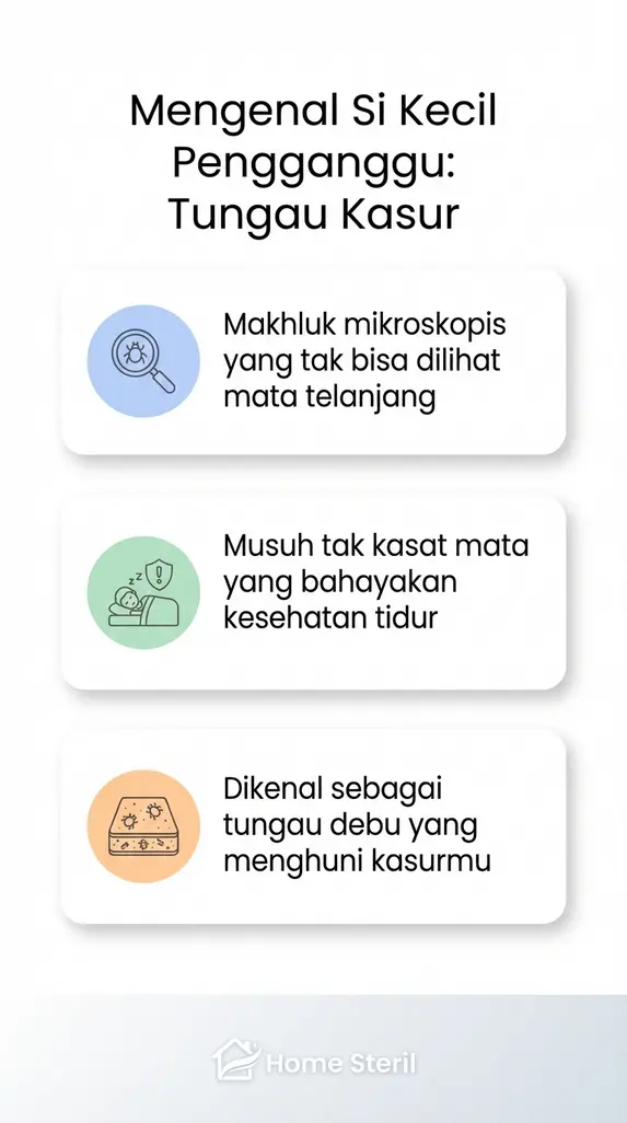 Mengenal Si Kecil Pengganggu: Tungau Kasur