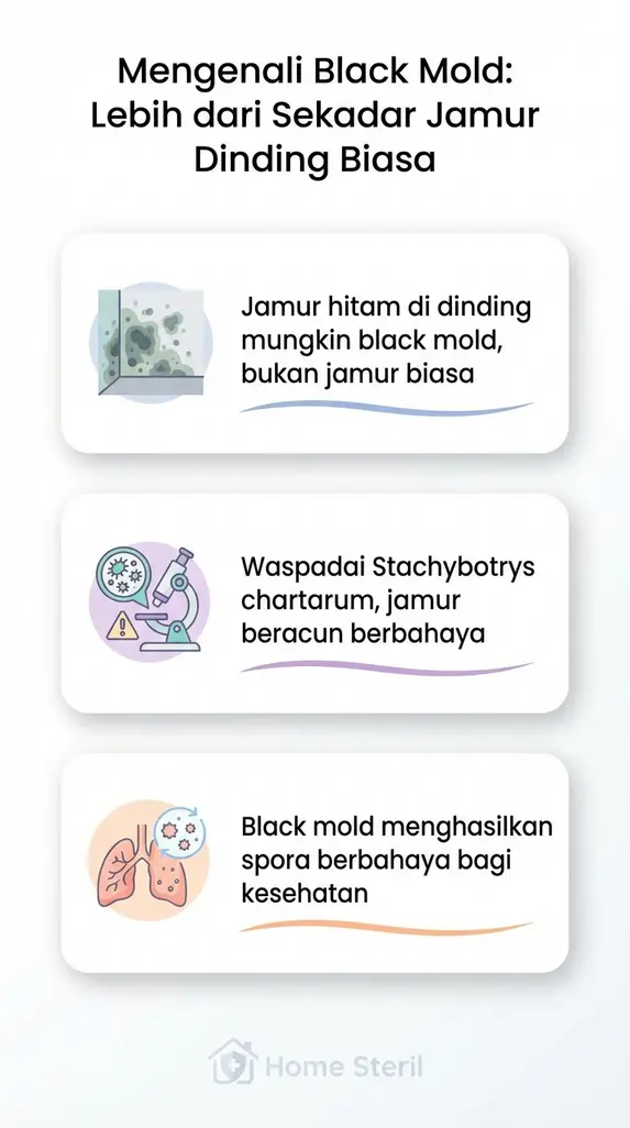 Mengenali Black Mold: Lebih dari Sekadar Jamur Dinding Biasa