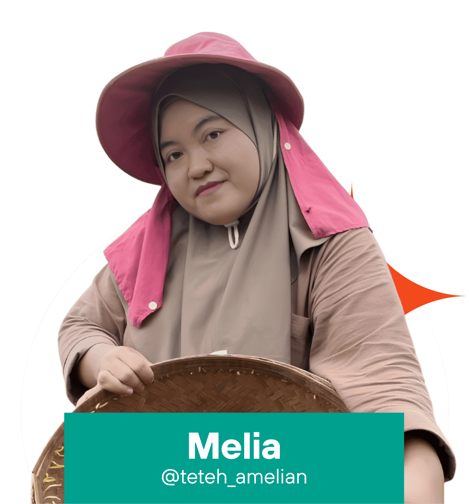 Prof Pict Melia.png