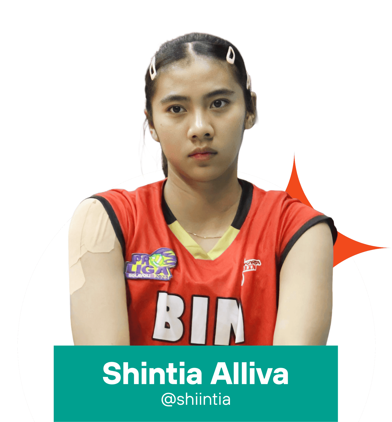 Prof Pict Shintia Alliva (1) (1).png